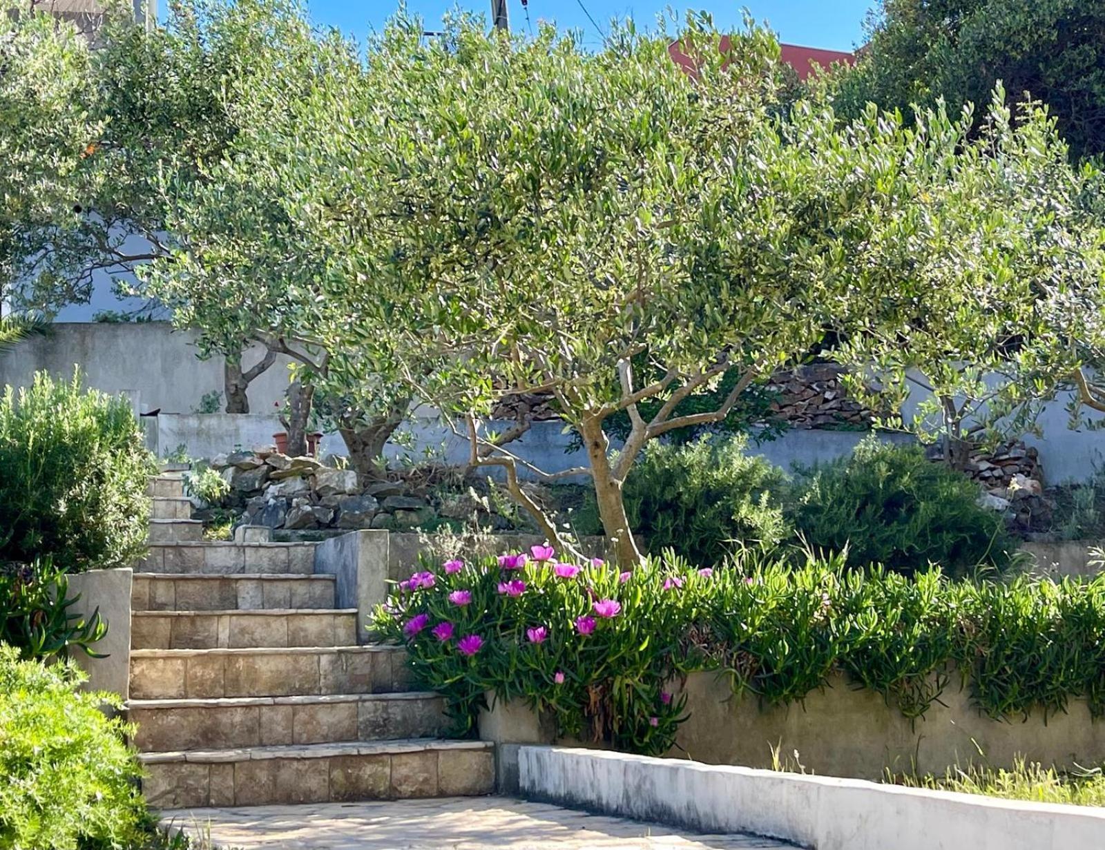 טרוגיר Villa Bua - Beautiful Seafront Apartments מראה חיצוני תמונה